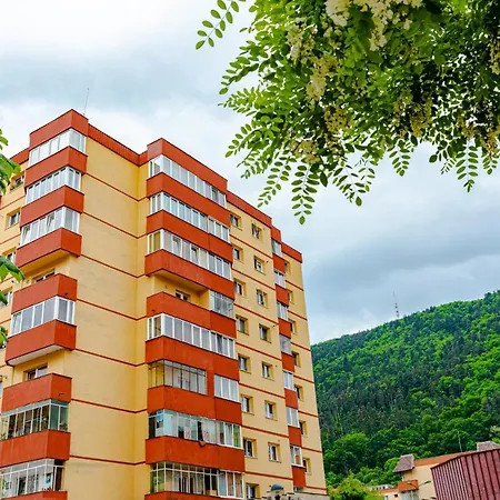 Apartment Mid-term Racadau Brasov