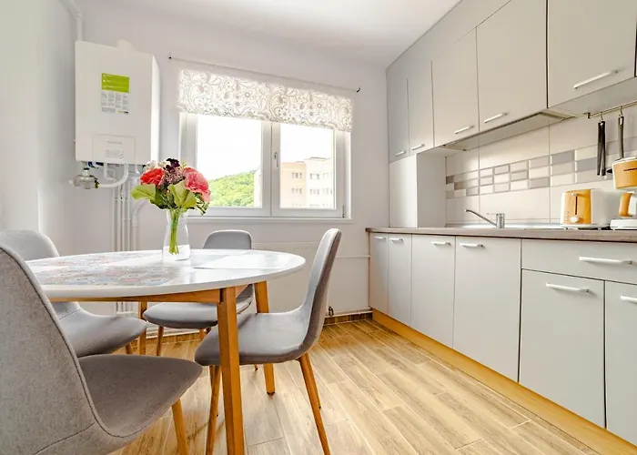 Mid-term Racadau * Brasov